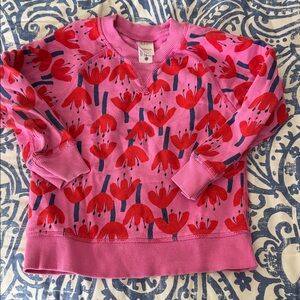 Hanna Andersson Pink and Red Floral Kids Sweatshirt